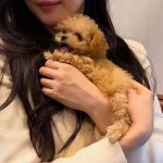 ■記事３■　キム・サラン、ペットの「養子縁組」を検討「とてもかわいい」-1